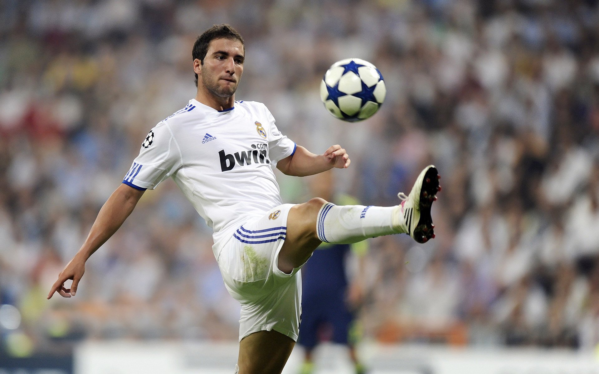 IM体育平台-霍勒迪成为全场焦点，活塞力克森林狼