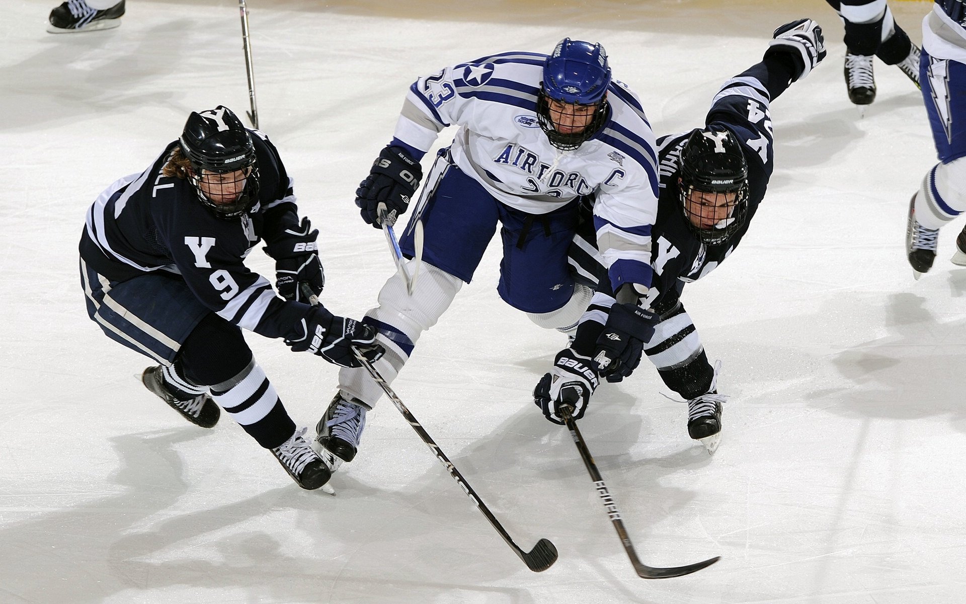 冰与火之歌,西亚卡姆一手掌控新疆命运之战